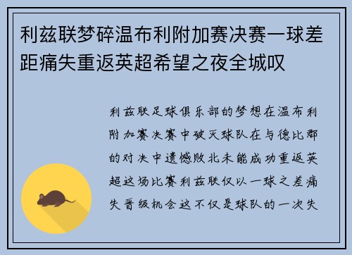 利兹联梦碎温布利附加赛决赛一球差距痛失重返英超希望之夜全城叹 利兹联梦碎温布利附加赛决赛一球差距痛失重返英超希望之夜全城叹